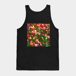 Red purple and yellow tulip fields Tank Top